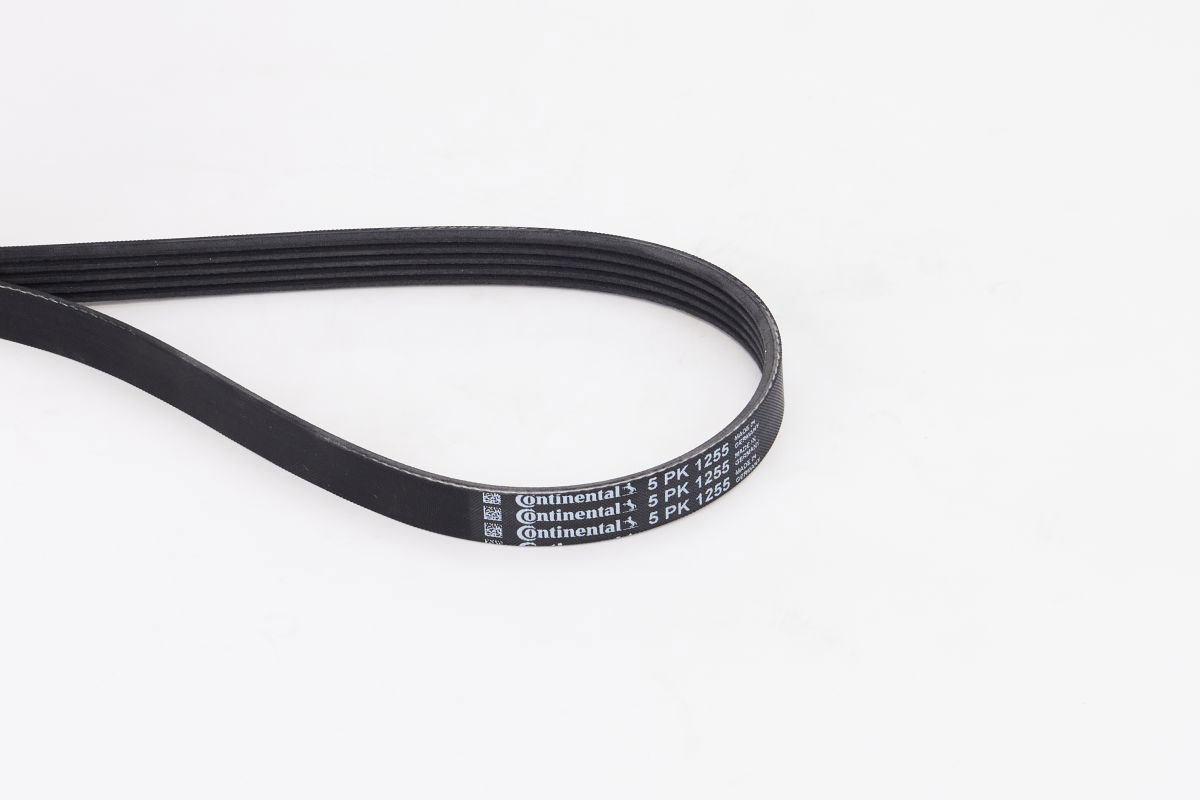 CONTINENTAL CTAM Ιμάντας poly-V, 5PK 1255